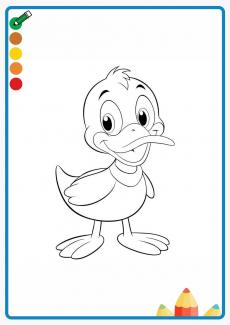 Duck coloring book