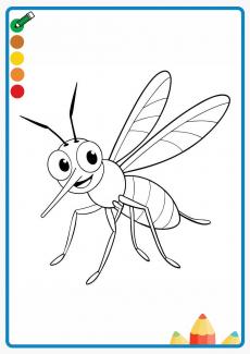 Mosquito coloring book